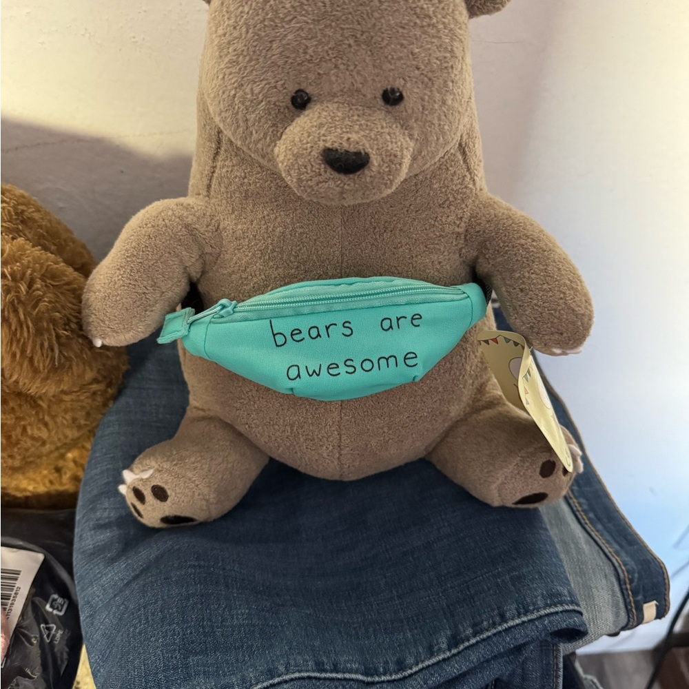 Plush Brown Bear with Teal Waist Pouch - 'Bears Are Awesome'